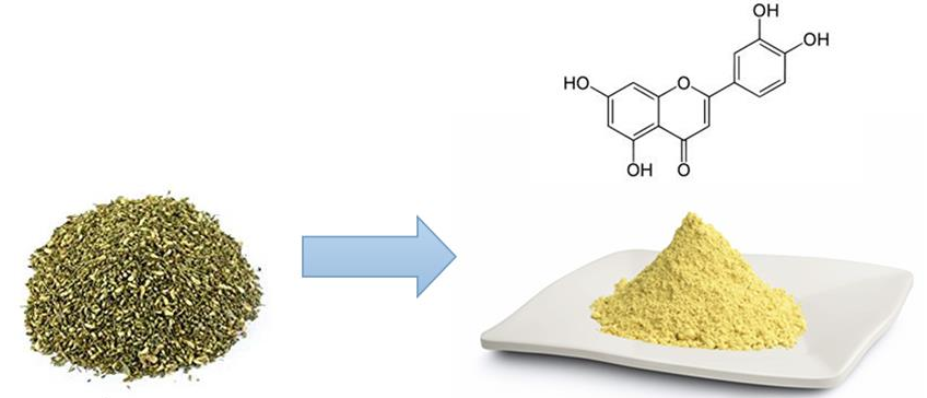 Luteolin Powder