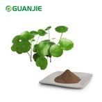 Gotu Kola extraktpulver