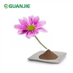 Echinacea Purpurea extraktpulver